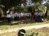 2014-06-14-faultetes-1.jpg