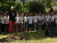 2014-06-14-faultetes-2.jpg
