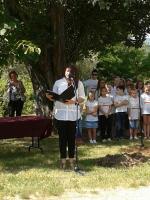 2014-06-14-faultetes-3.jpg