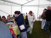 2014-mezokovesd-p1000590.jpg