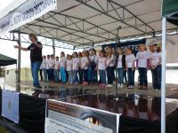 2014-mezokovesd-p1000612.jpg